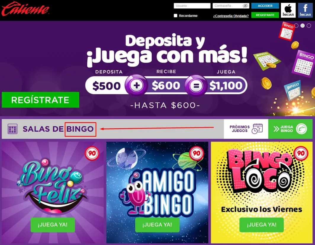 Página de bingo con promociones activas, salas disponibles y juegos destacados.